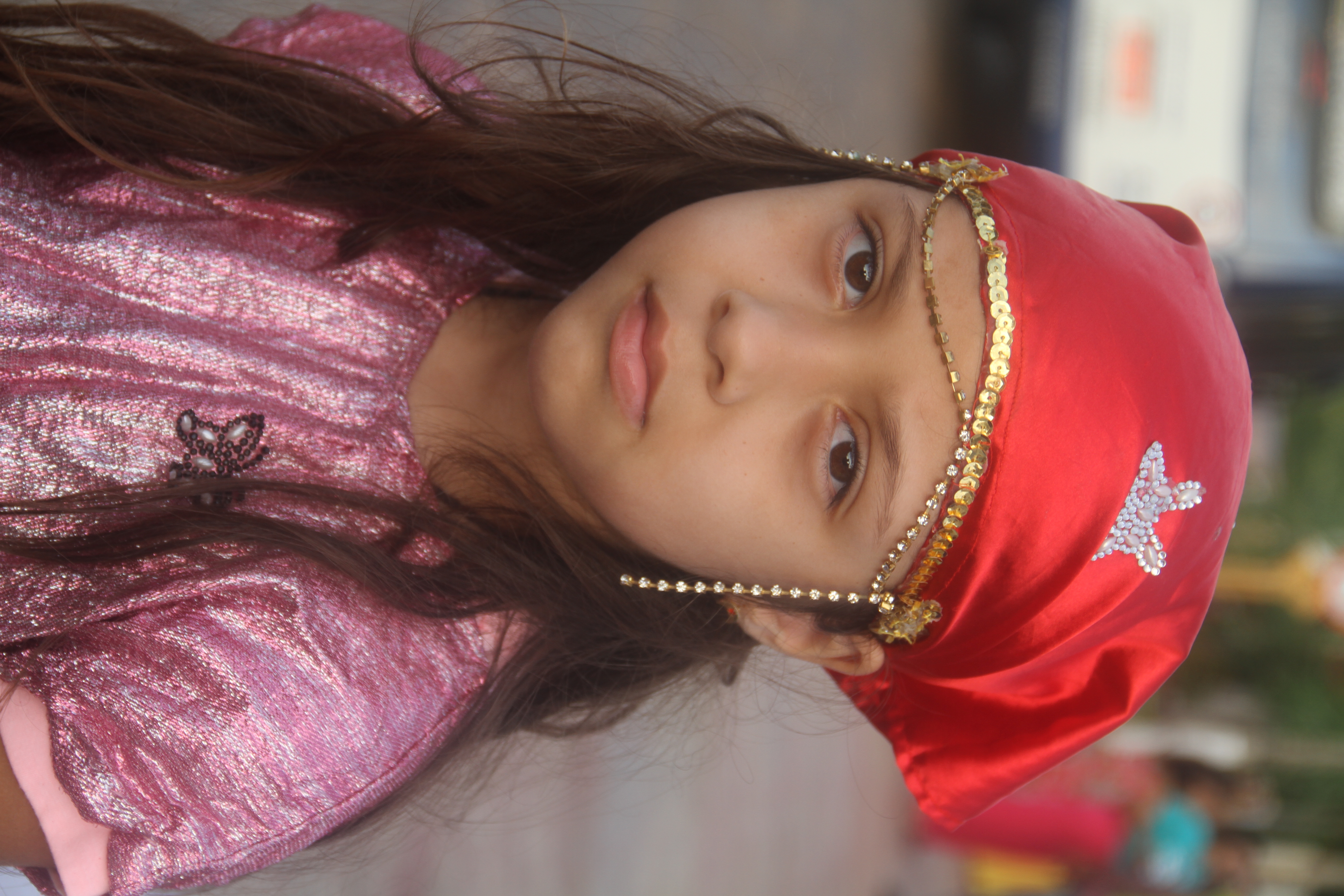 carrapatocultural.com 